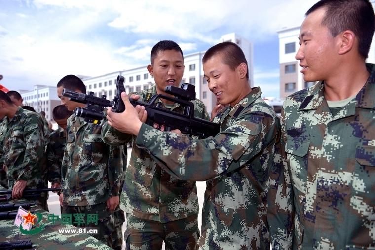 吊兰什么时候换盆